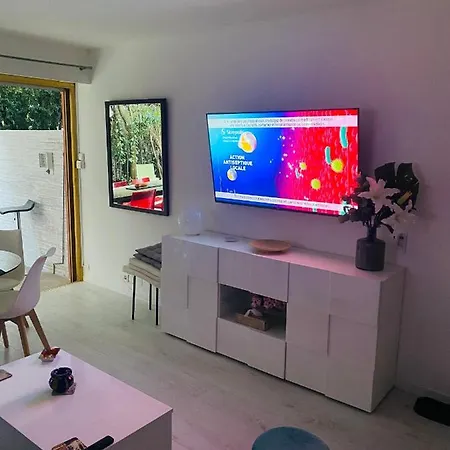 3 Pieces Terrasse, Jardin Apartamento Cannes